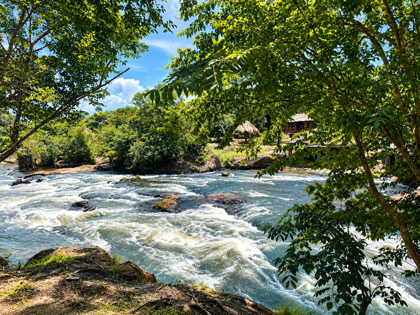 Flowing river and rocks beneath the trees